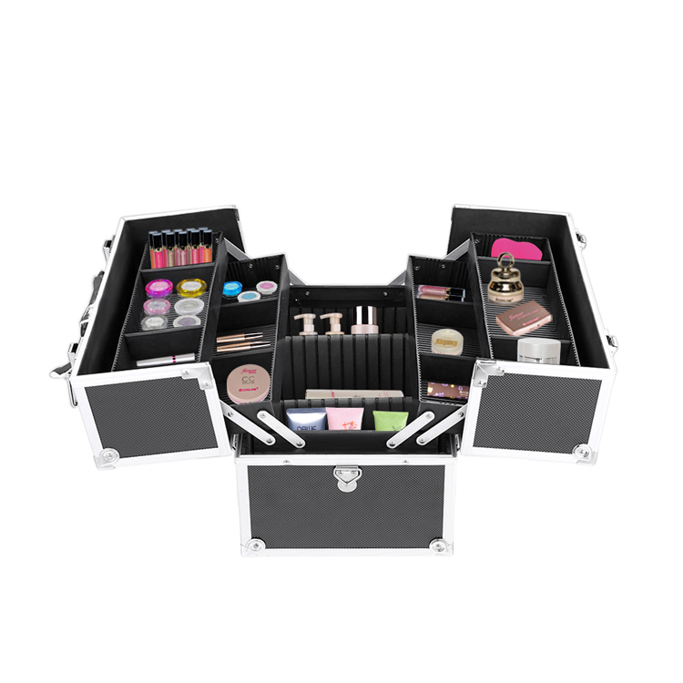 Makeup Train Cases